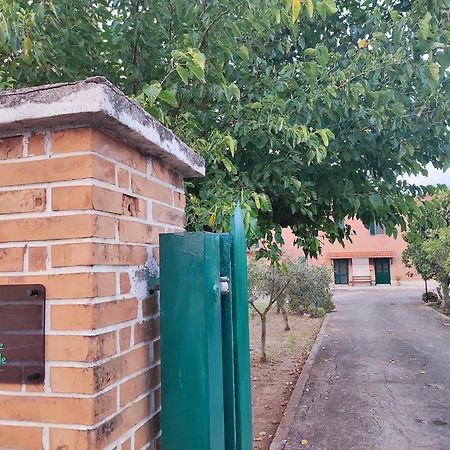 Eco House San Michele Hostel Borgo San Michele  Екстериор снимка