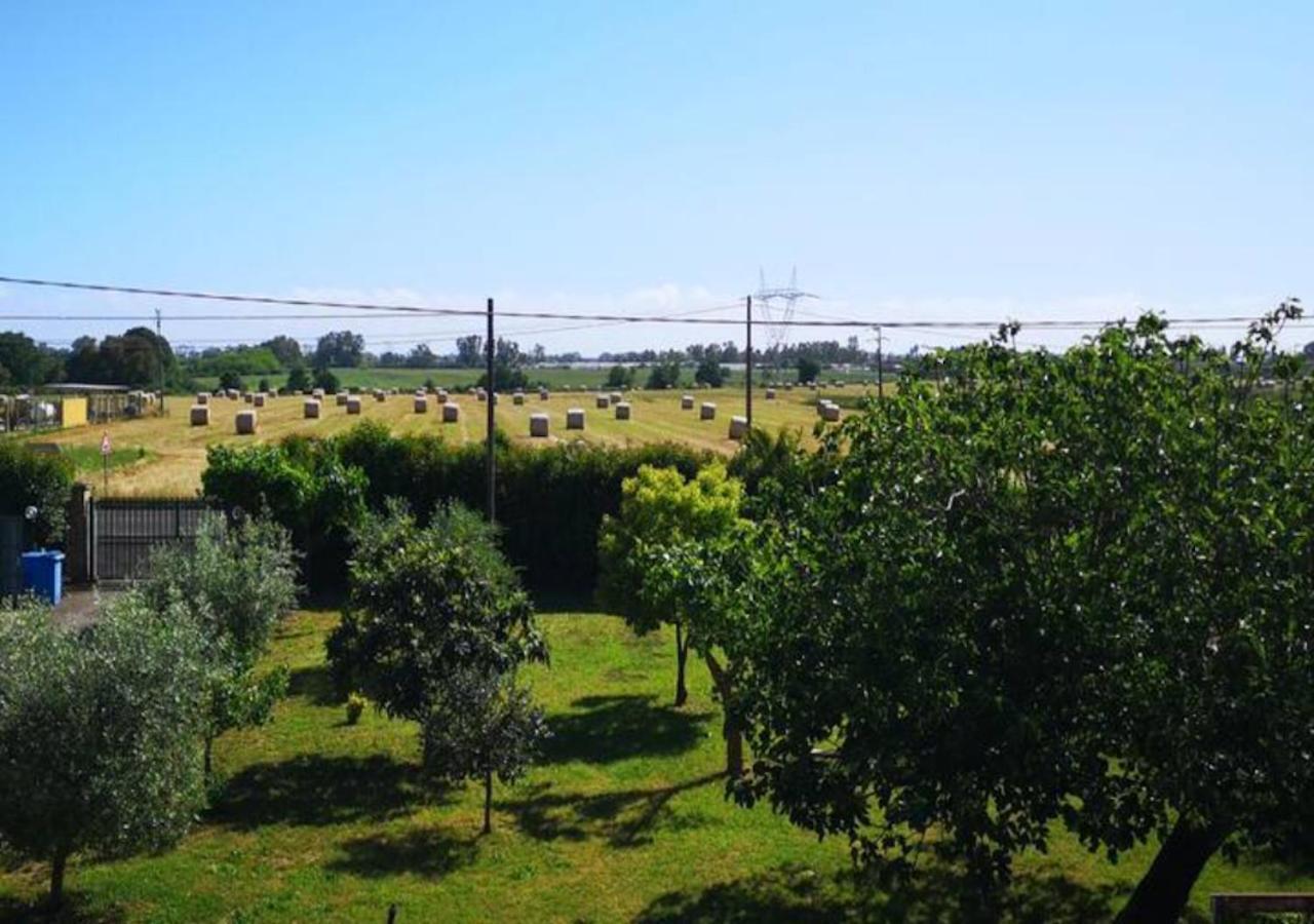 Eco House San Michele Hostel Borgo San Michele  Екстериор снимка