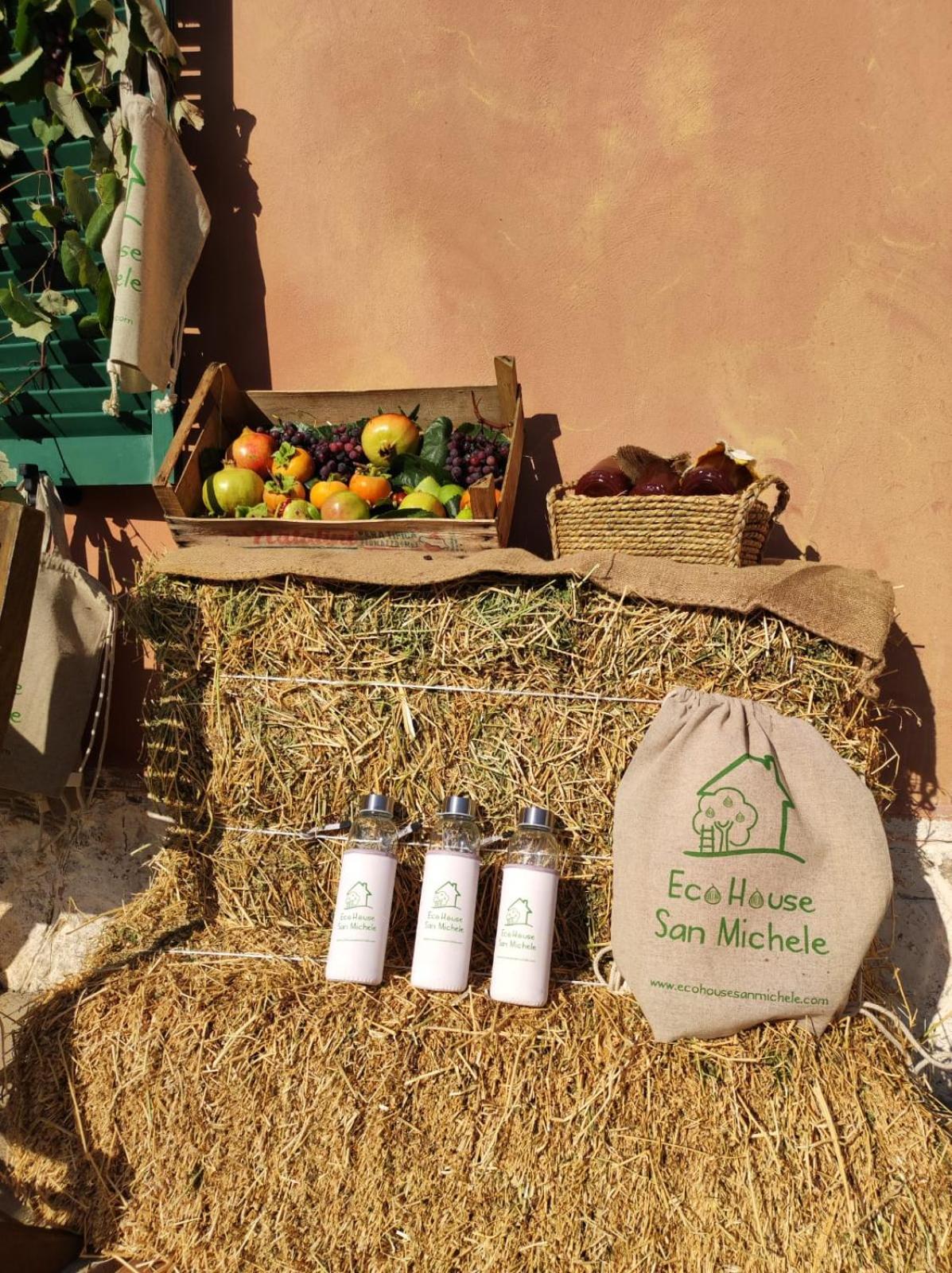 Eco House San Michele Hostel Borgo San Michele  Екстериор снимка